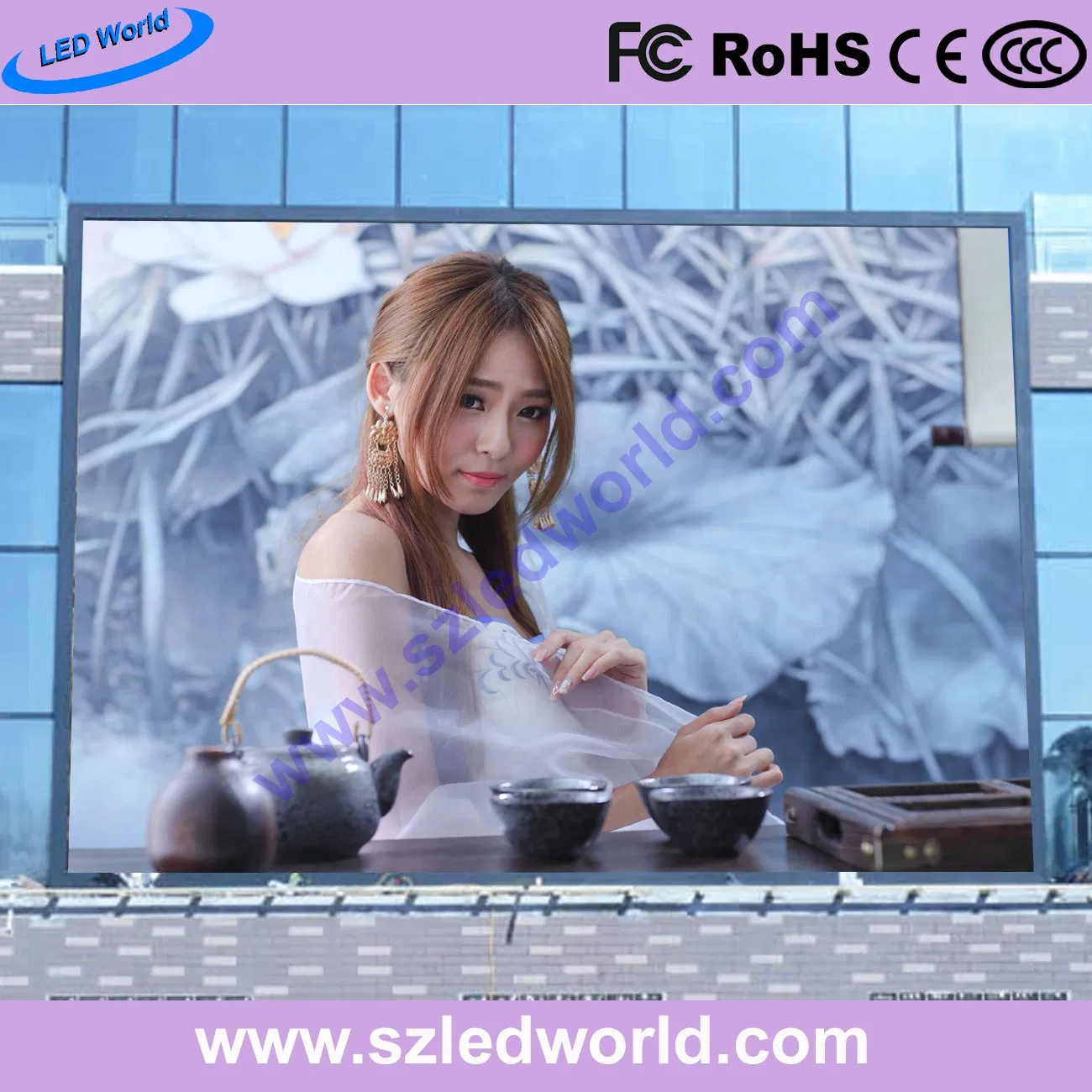 P3.91 P4.81 P5.95 P6.25 Rental Full Color Indoor / Outdoor LED Video Wall with 500X1000mm Die-Casting Cabinets