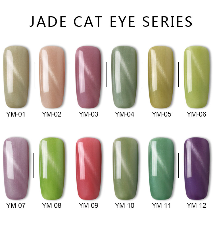 as 3D Magnetic Nailart Saloncat Eye Gel Nail Polish for Manicure