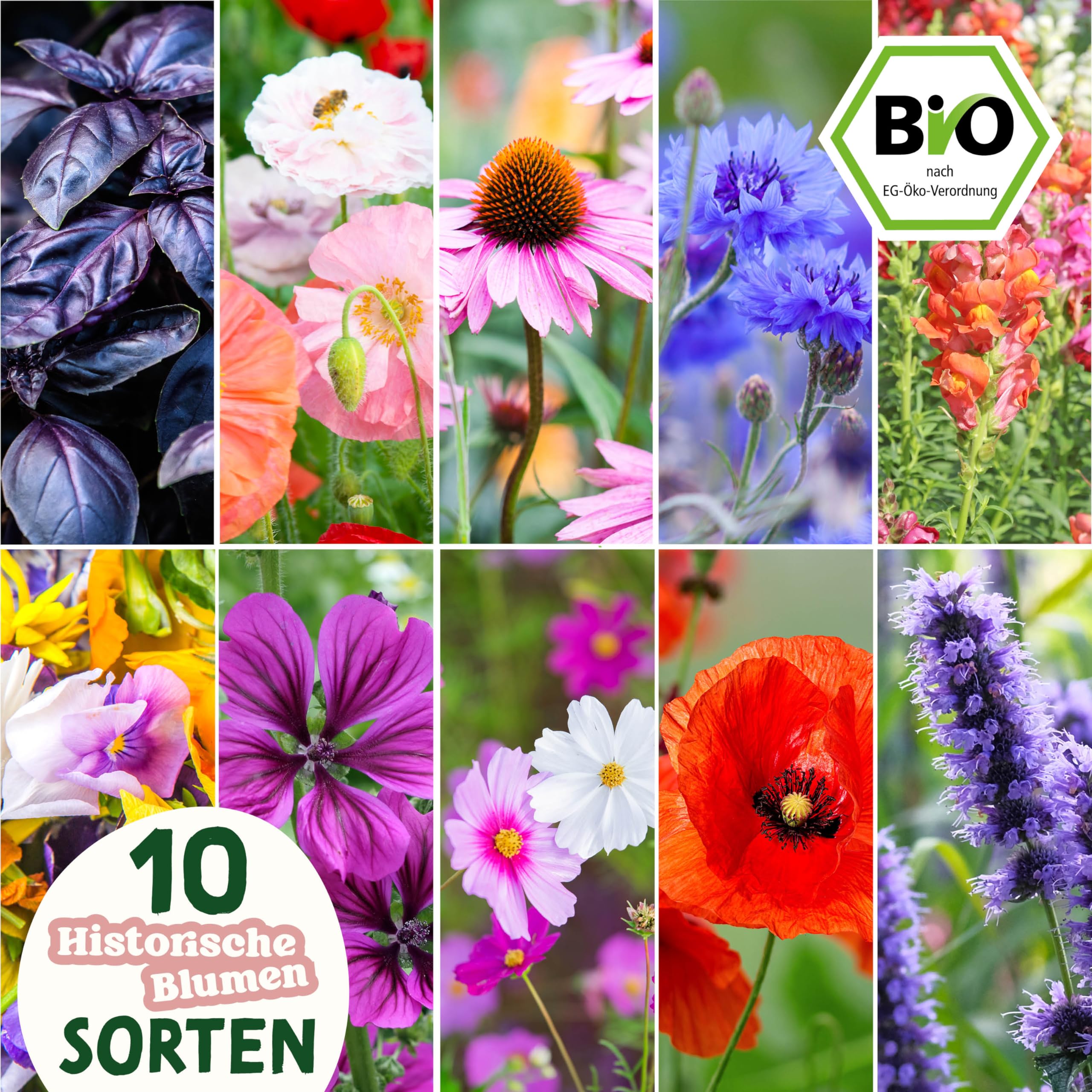 Набор для выращивания цветов домашний