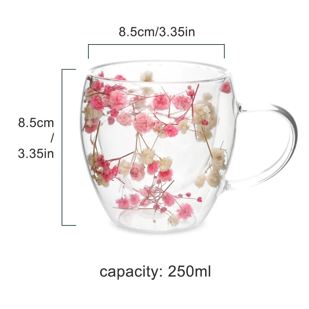 Eco-Friendly Real Flower Dry Flower Cup Double Layer Glass Mugs