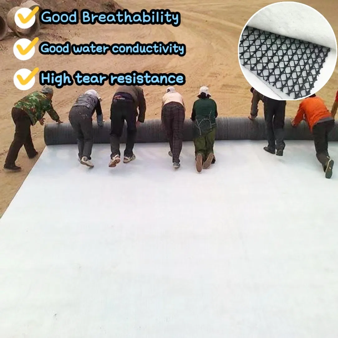 Permanent Drainage Infrastructure: 3D Composite Geonet for Canal Slope Stabilization