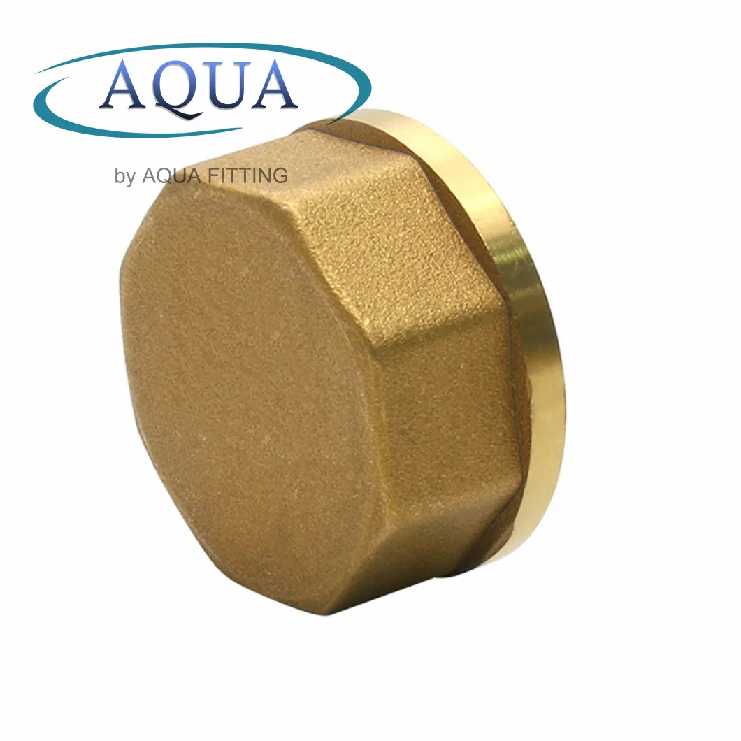 Brass End Cap Female Thread Compression with Water