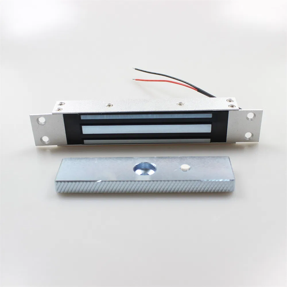 Hot Selling High-End Delay Feedback Magnetic Lock