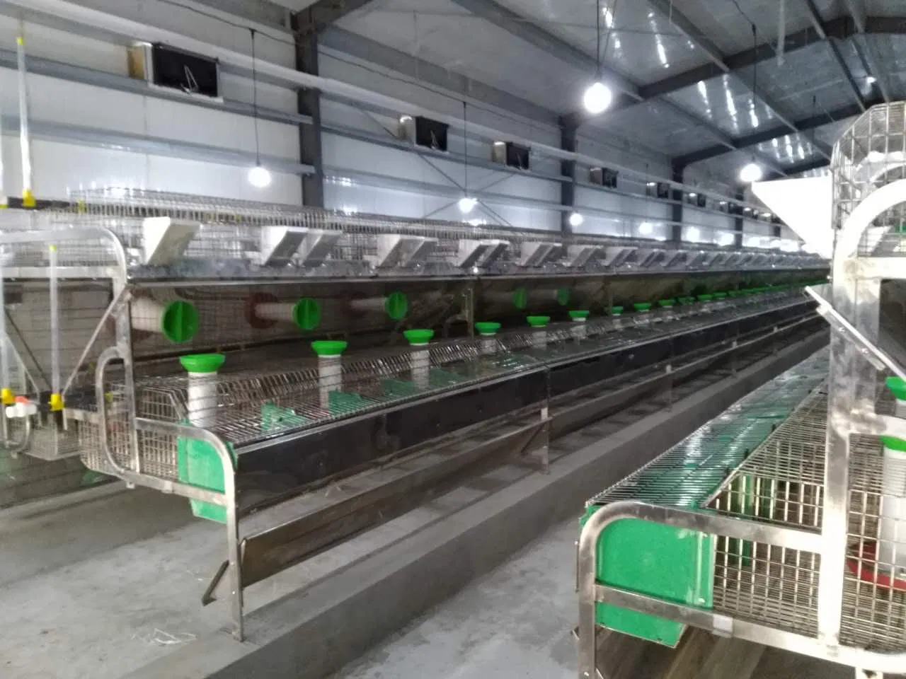 Easily Installation Low Price Prefab Poultry Farm Chicken House