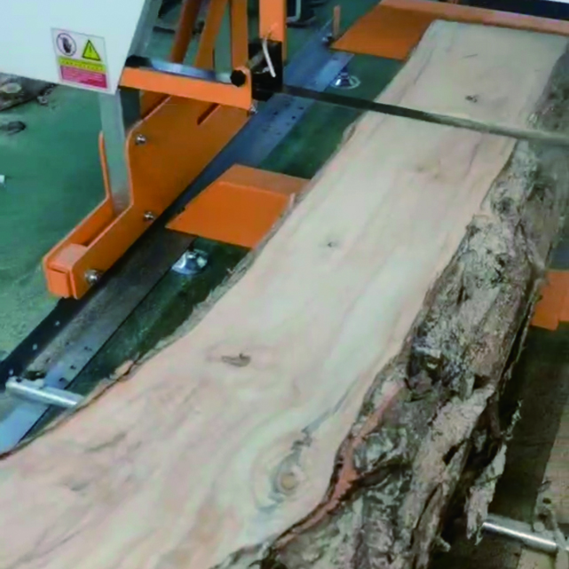 Ленточная пила по дереву