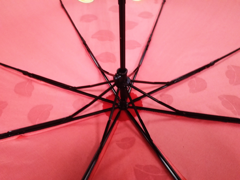 New Item Innovatory Magic Folding Rain Gift Umbrella Logo Printing Appear in Wet Look (FU-3821BX)