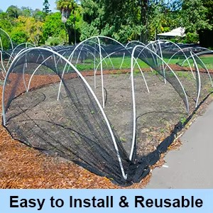 Durable Birds Net Anti Anti-Bird Nets Garden Protection HDPE Warp Knitting Hot Sale Bird Netting for Agricultural