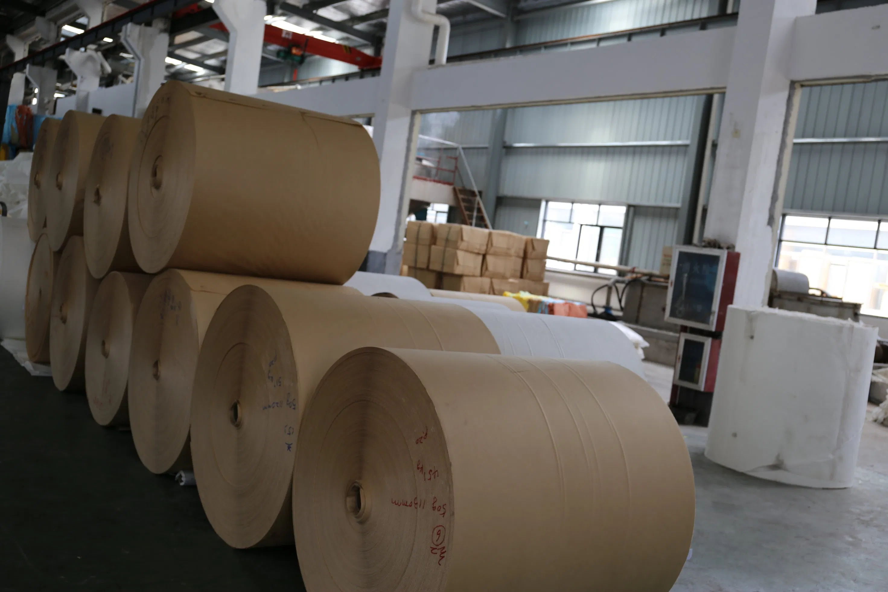 Unbleached Bamboo Pulp Coffee Filter Paper in Roll