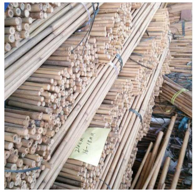 Bamboo Stick Bamboo Poles for Garden/Bamboo Cane