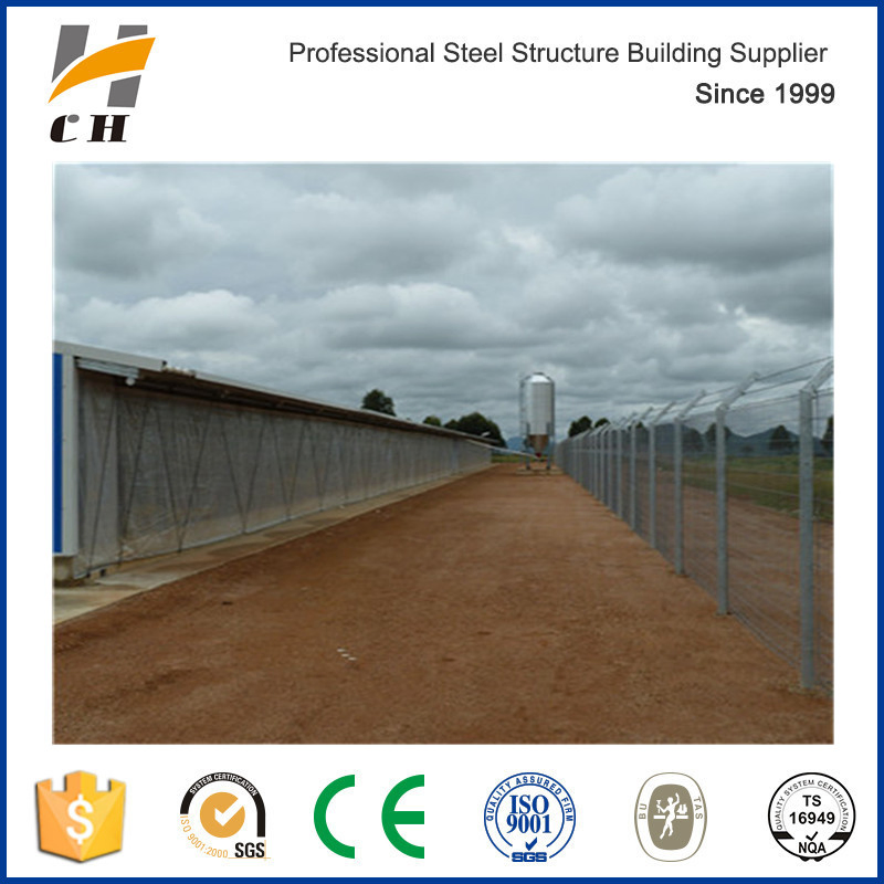 Modern Large-Scale Automatic Poultry Farm/Shed Design for Chicken