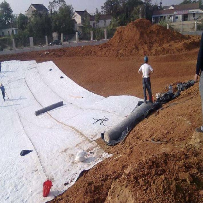 Bentonite Geosynthetics Clay Liner Gcl for Landfills/Lagoons/Canals/Tank Lining/Fish Farm/Pond