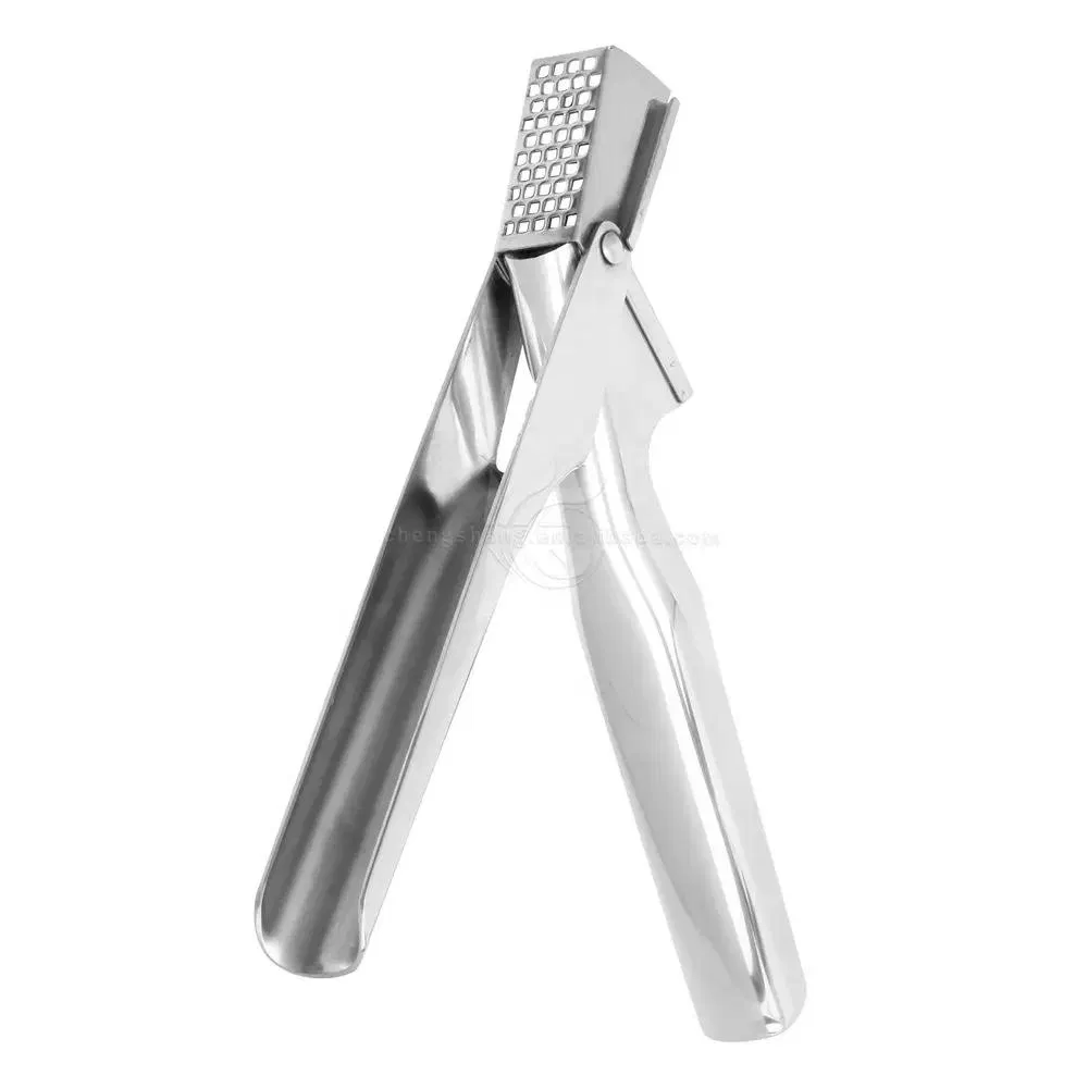 Ginger Chopper Stainless Steel Garlic Press and Garlic Slicer Garlic Press Crusher