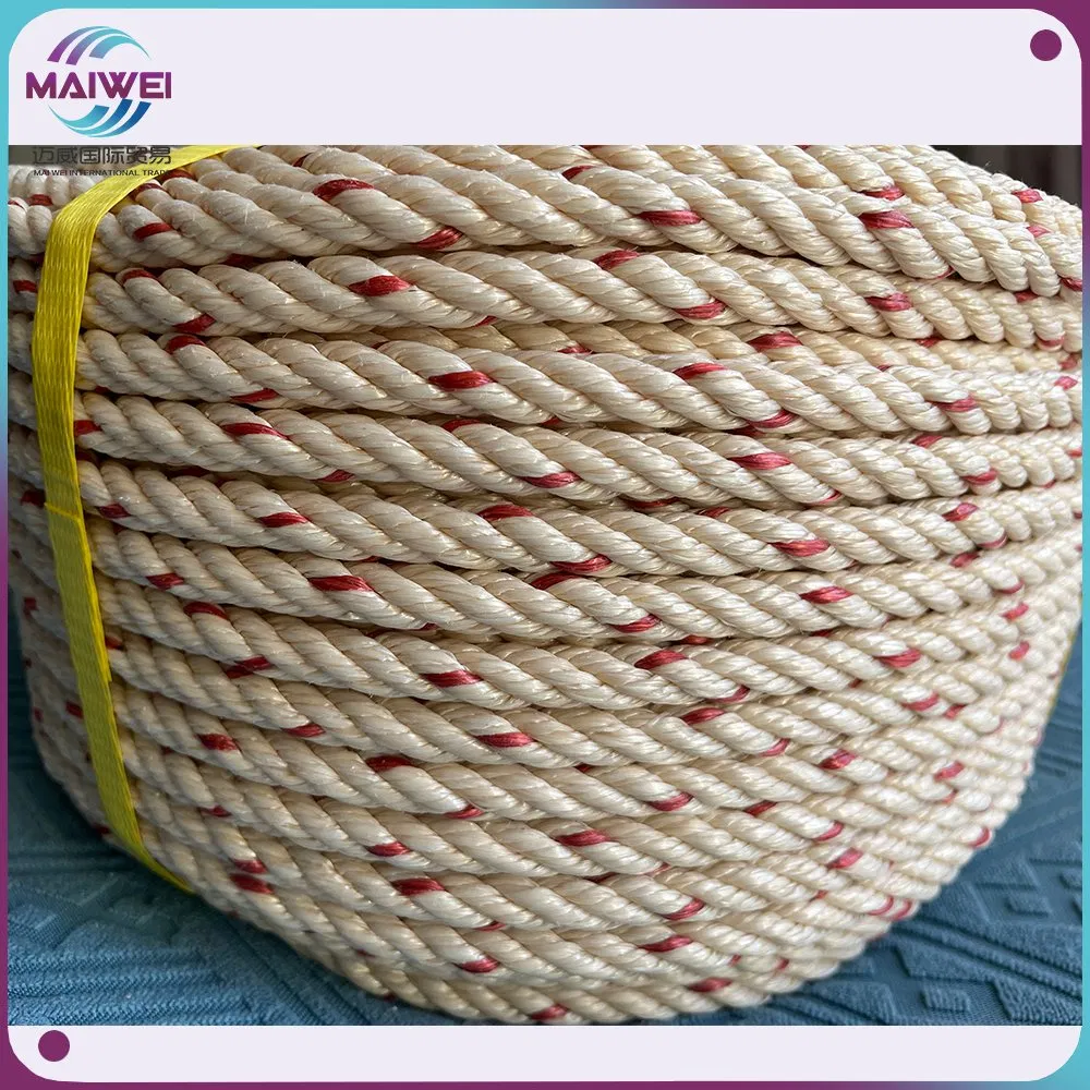 Polyethylene/PE Polypropylene/PP Fishing Marine Mooring Packing Rope Plastic Tali