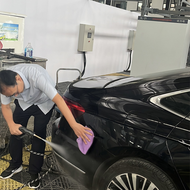 High-Temperature & High-Pressure Steam Cleaner Electric-Heated Dual-Gun Steam Cleaning Equipment & Interior Cleaner