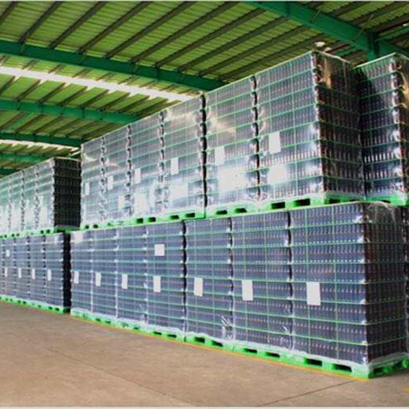 Pallets Separator Solutions Plastica Divider with PP Sheets for Bottle Tray Separators Separatori Low Price