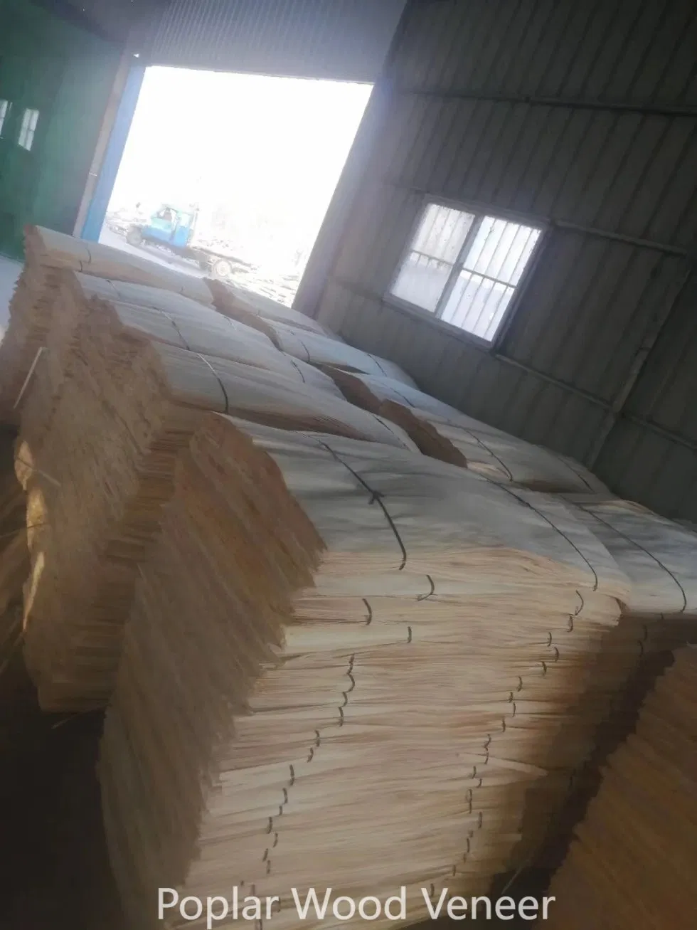 Rotary Cut Natural Veneer Wood Thickness 0.30mm Bleached Poplar Veneer