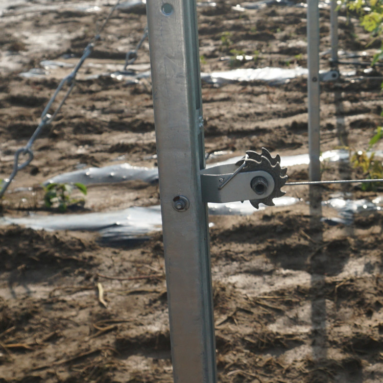 Easy to Install Hot DIP Galvanized Grape Vine Post for Vineyard Trellis Systems/Steel Fence Post Vineyard Poles for Orchard