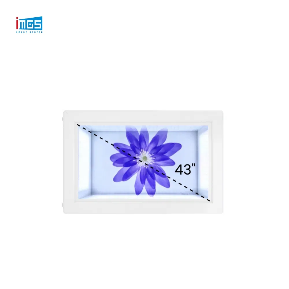 43 Inch Smart Window Shop Screen Interactive Displays Touch Digital Kiosks