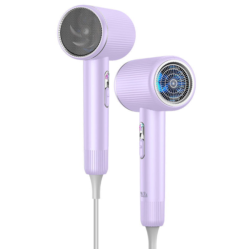 Professional Household Electric Hair Dryer with Nozzle Hairdryer