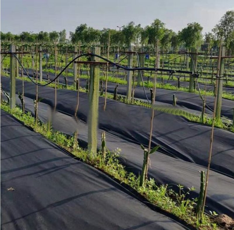 High-Density Weed Suppression Spunbond Mat