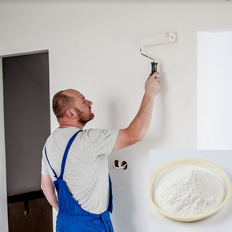 Manufacture Rdp Vinyl Acetate Ethylene Redispersible Polymer Powder Vae Rdp CAS 24937-78-8