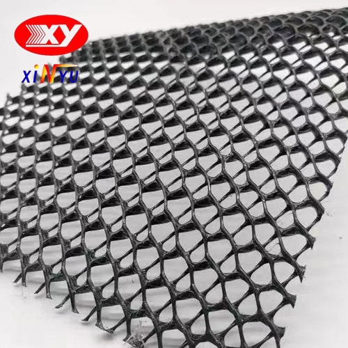 Two Dimension 4mm 5mm 7mm 6mm Geocomposite HDPE Biplanar Drainage Geonet Hot Bonded with One or Two Sides Geotextile Factory Price