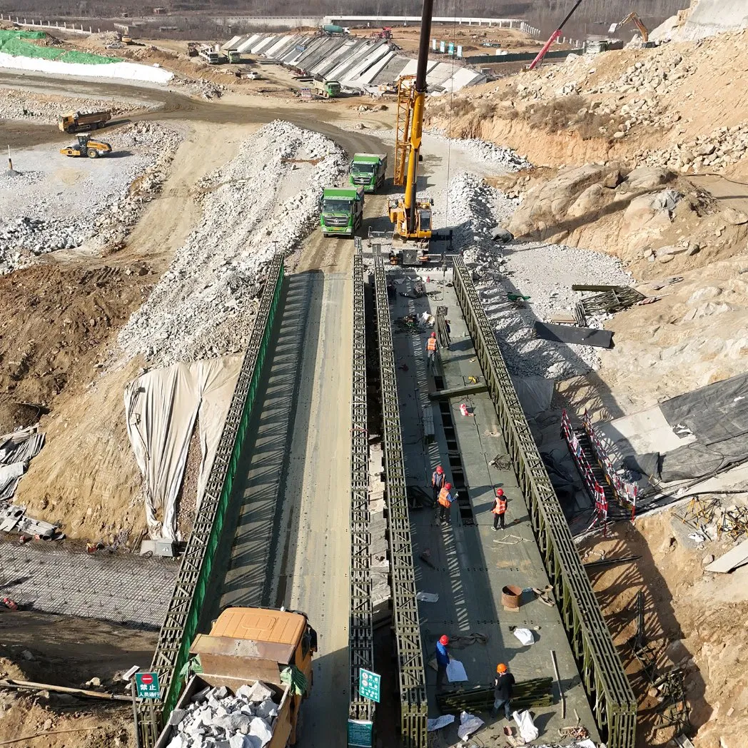 Cheap Prefab Stainless Steel Heavy Compact 200 Calbe Skywalk Pedestrian Bailey Bridge