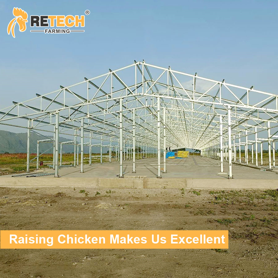 Automatic Layer A Type Chicken Coop House Broiler Cage for Laying Hens