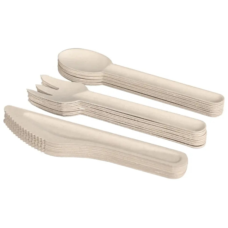 Unbleached 6'' Bagasse Biodegradable Knife Fork Spoon Sugarcane Cutlery