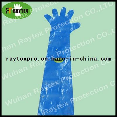 High Quality PE Long Gloves