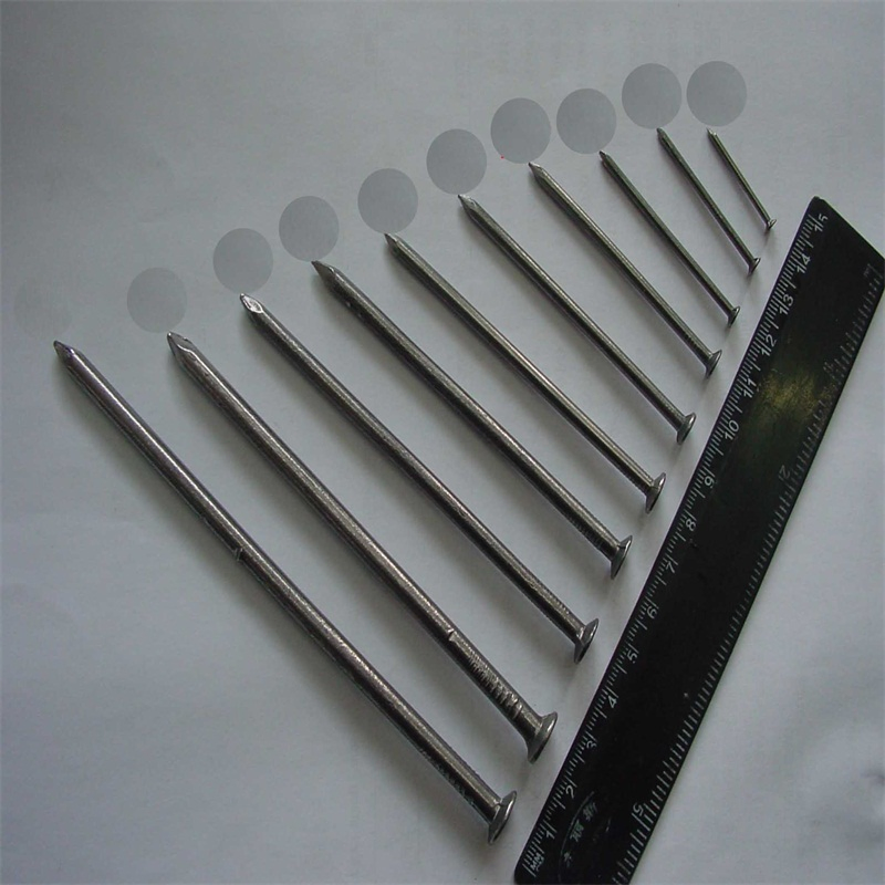 Various Length Iron Common Nail