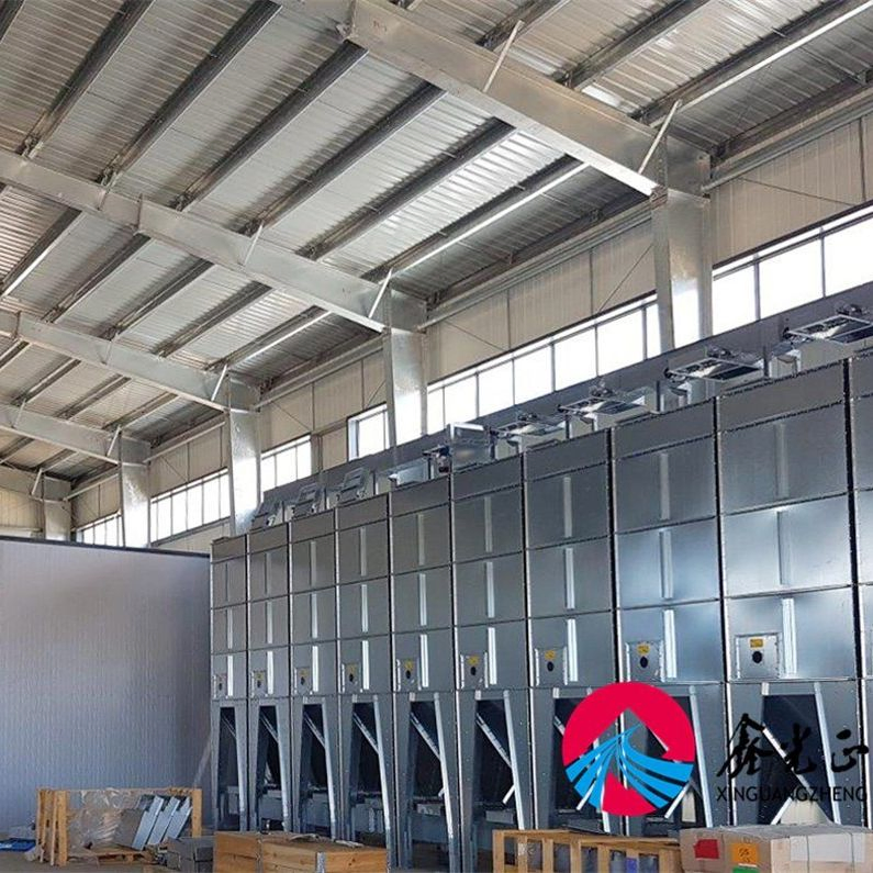 Broiler/Breeder/Layer/Egg Installation Hatchery Construction Steel Structure Shed Automatic House