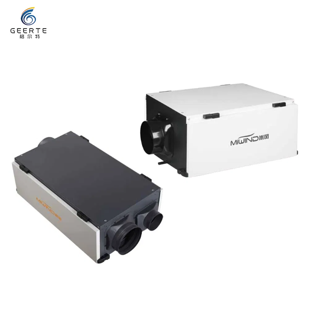 Dehumidifier Industrial New Ceiling Dehumidifier for Swimming Pool