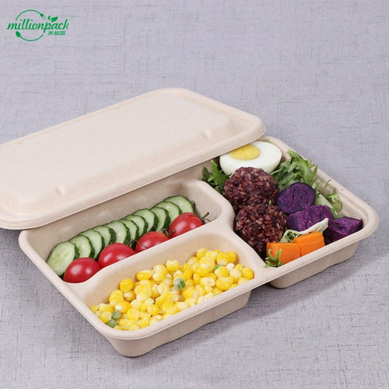 Compostable Bagasse Lunch Box with Leak-Proof Design for Hot Meals