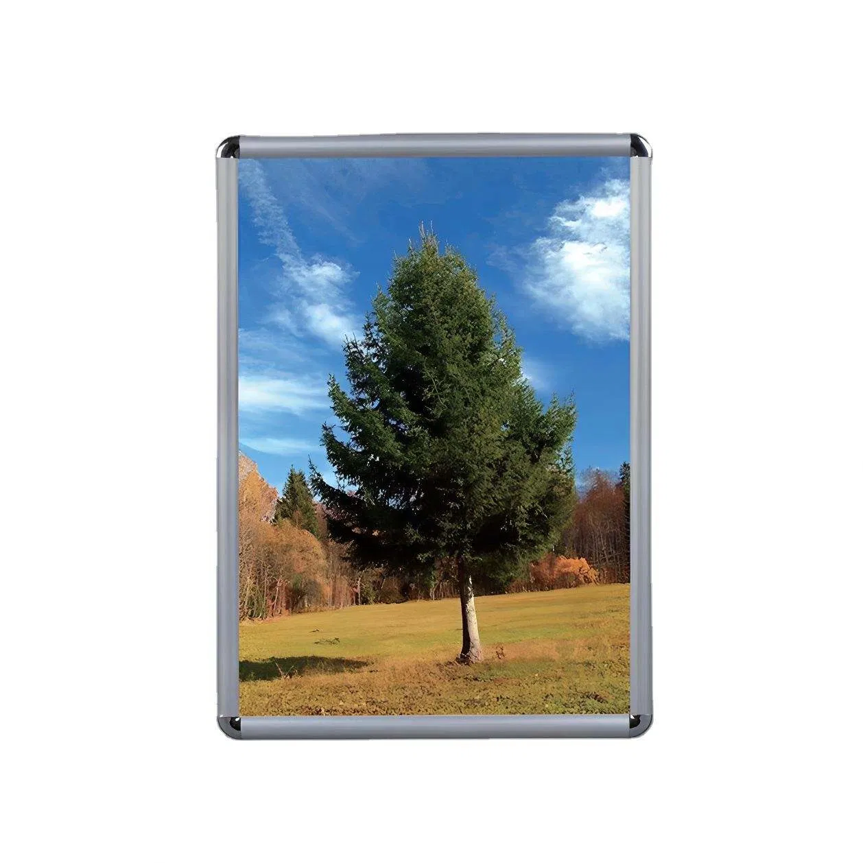 Wholesale 25mm Aluminum Poster Frame A3, Round Safe Corner Wall Mounted Snap Clip Frame