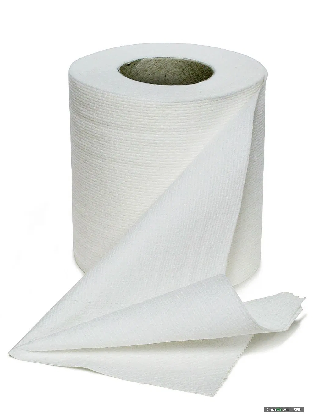 Premium Europe Asorbent 100% White Bathroom Roll
