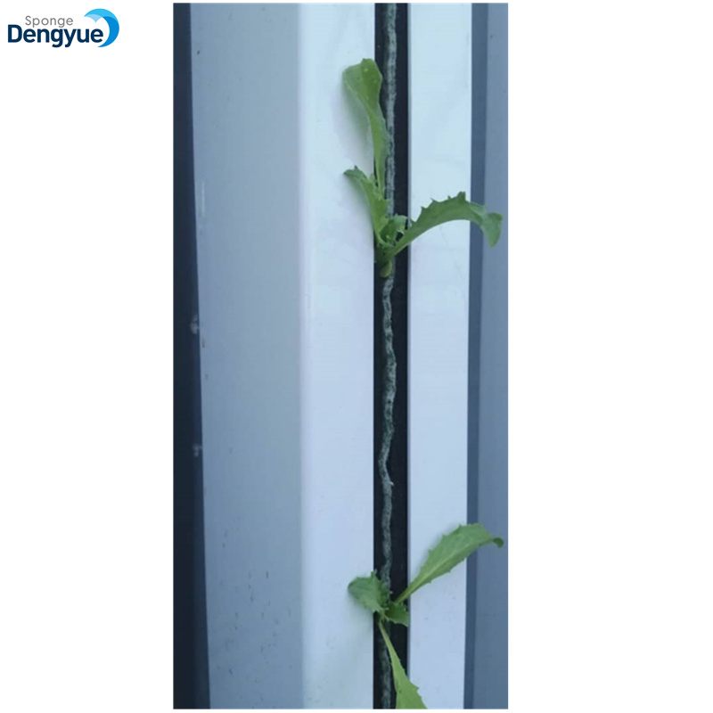 Vertical Zip Grow Tower Porous Anti-Biotic Organic Polyurethane Filter Foam Polyurethane Foam