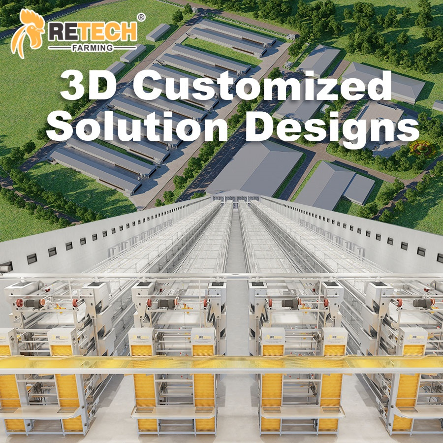 Chicken Cage Equipped Chicken House in Poultry Farm Prefabricated Steel Structure