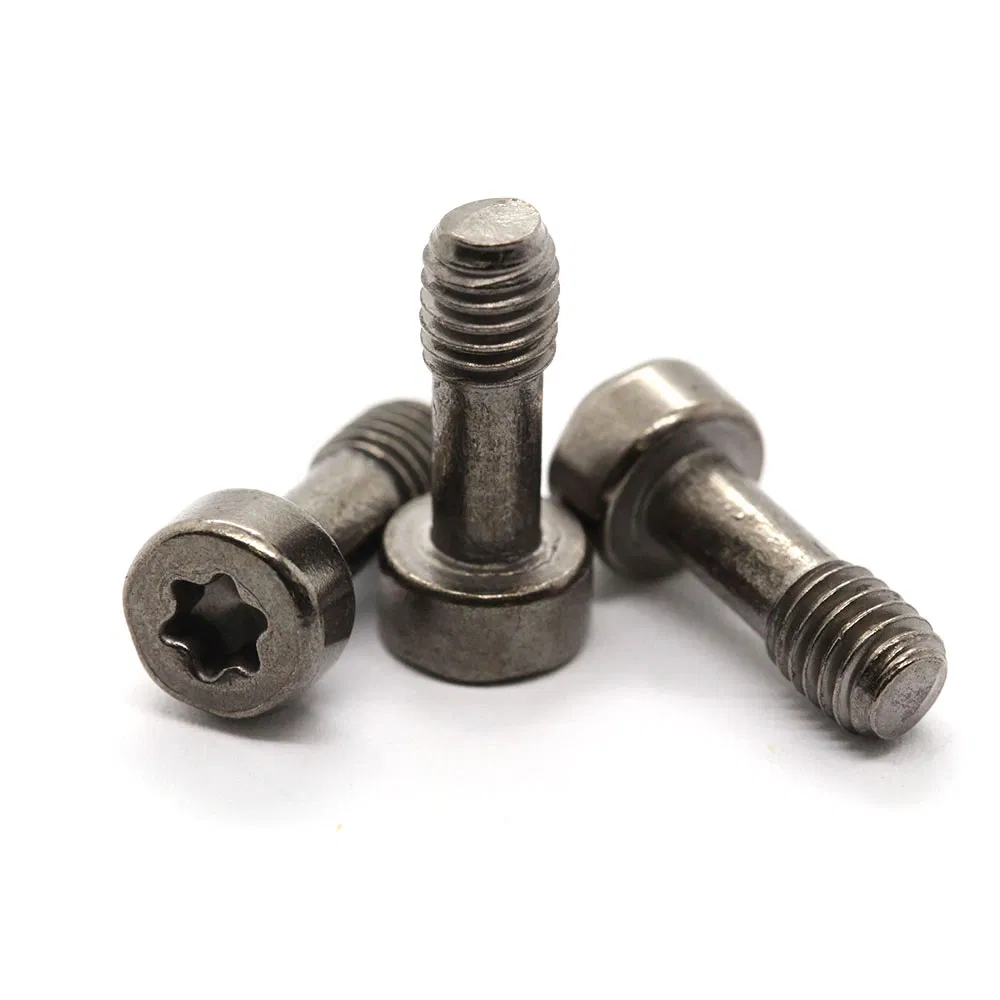 Socket Captive Screw Stainless Steel Pan Head A2-70 Countersink Tamper Proof Torx Security Captive Screw