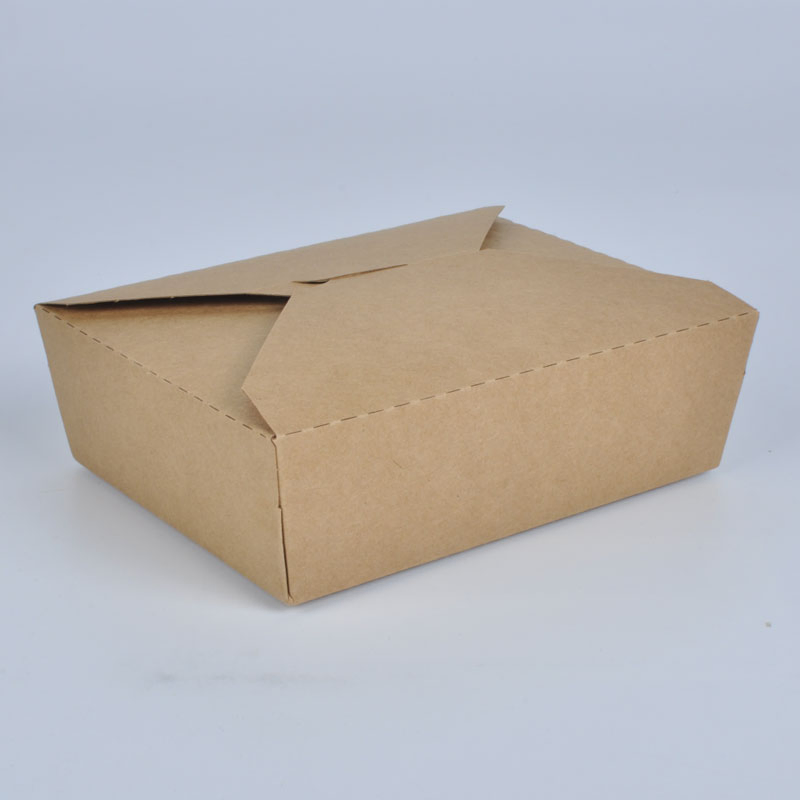 Disposable Food Grade Biodegradable Kraft Paper Lunch Box White Cardboard Takeaway Box