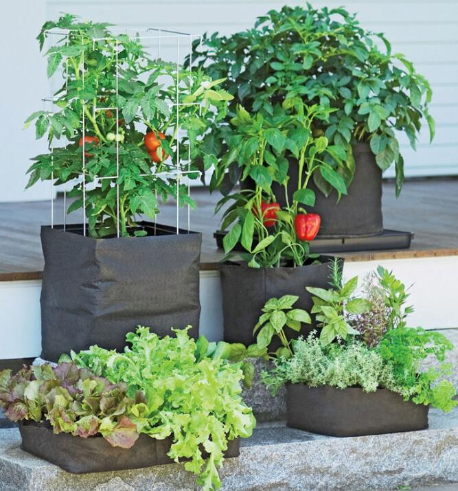 Factory Supply High Quality Plant Bag PP/Plastic/Non Woven Fabric Grow Bag for Potato/Garden Planting/Flower Pot