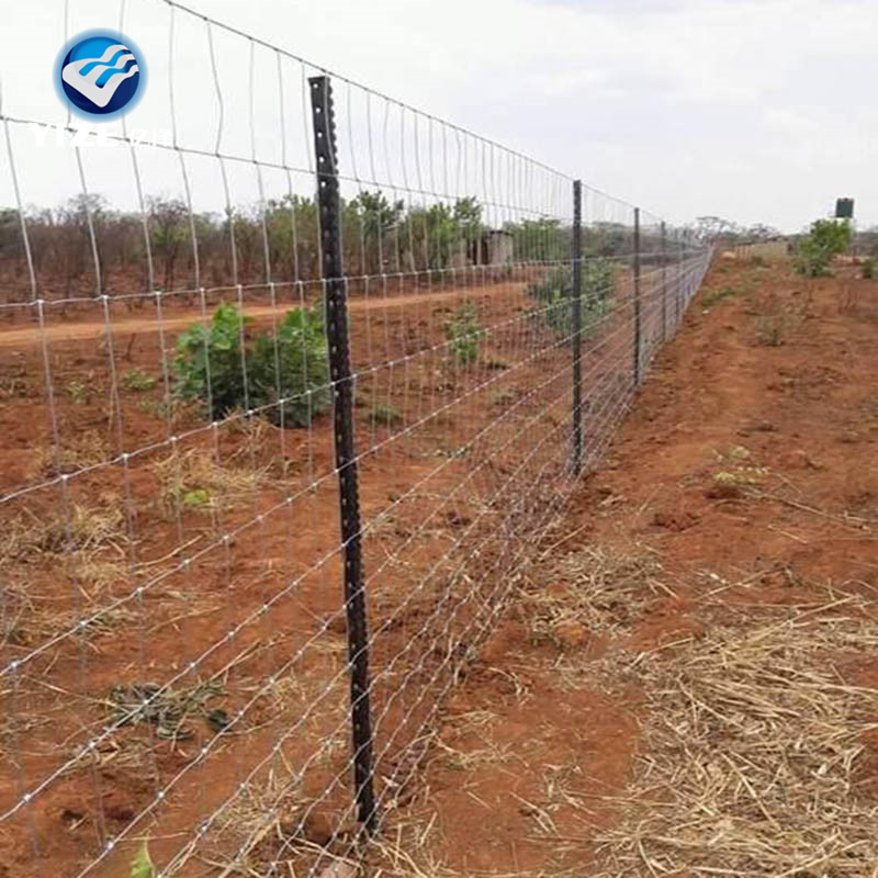 Hot Sale Sheep Goat Farm Fence Electric / Hot Dipped Galvanized Factory Price
