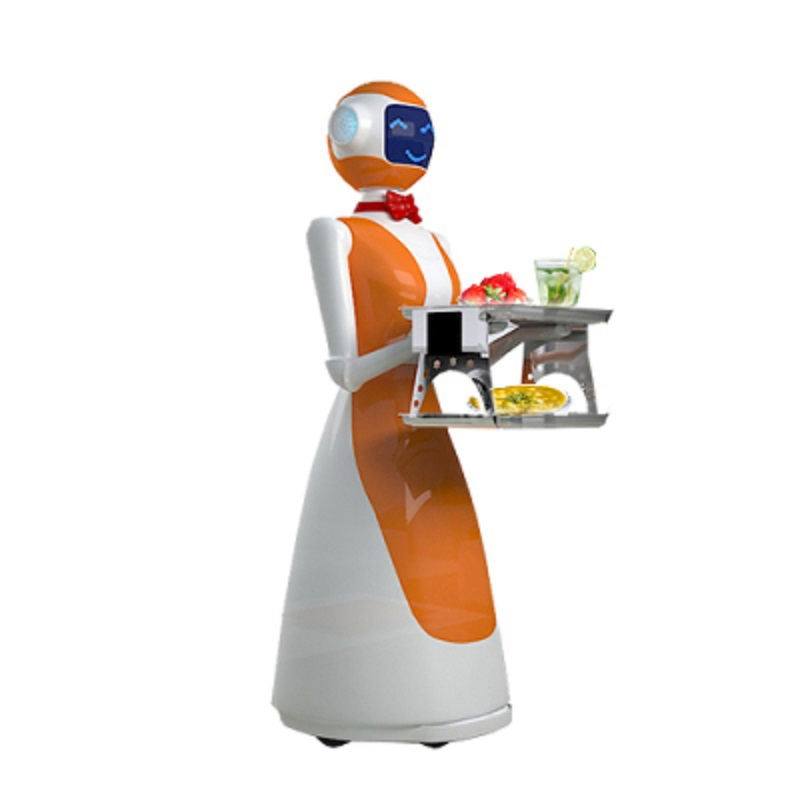 Humanoid Delivery with Intelligent Obstacle Avoidance-Lele Delivery Robot