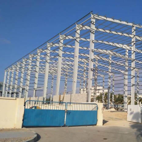 Builder Steel Structure Plant Building for Rice Mill Food Drying Shop