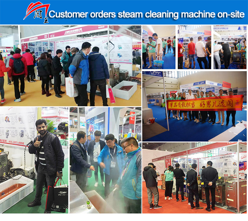 Upholstery Steam Cleaner Machine for Carpet Sofa Hotel Kitchen Oil Service Car Steamer Washer Soft Furnishings Cleaning Wash Clean