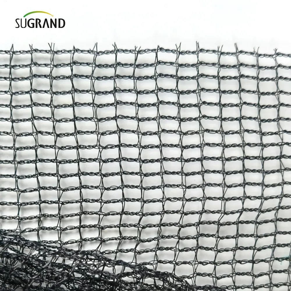 Green Plastic Construction Scaffold Safety Net for Building