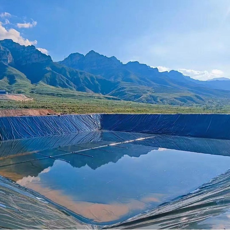 Fish Shrimp Farm Pond Liner Smooth Textured Surface Waterproof HDPE Impermeable Geomembrane