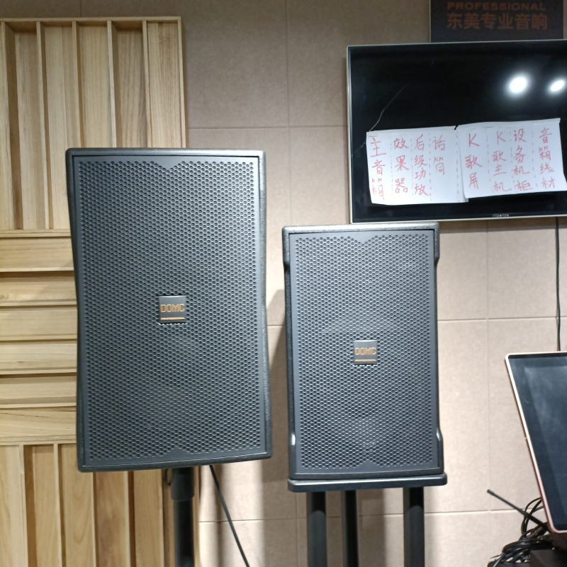 Professional Studio Grade Domc K210 10-Inch Speaker System