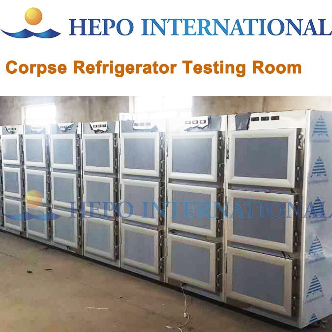 Economic Morgue Body Refrigerator (HP-CR3N)