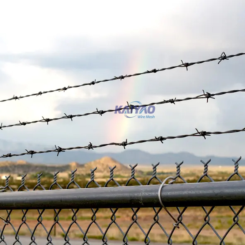Customizable Blade Razor Barbed Wire for Harsh Environment Security Solutions